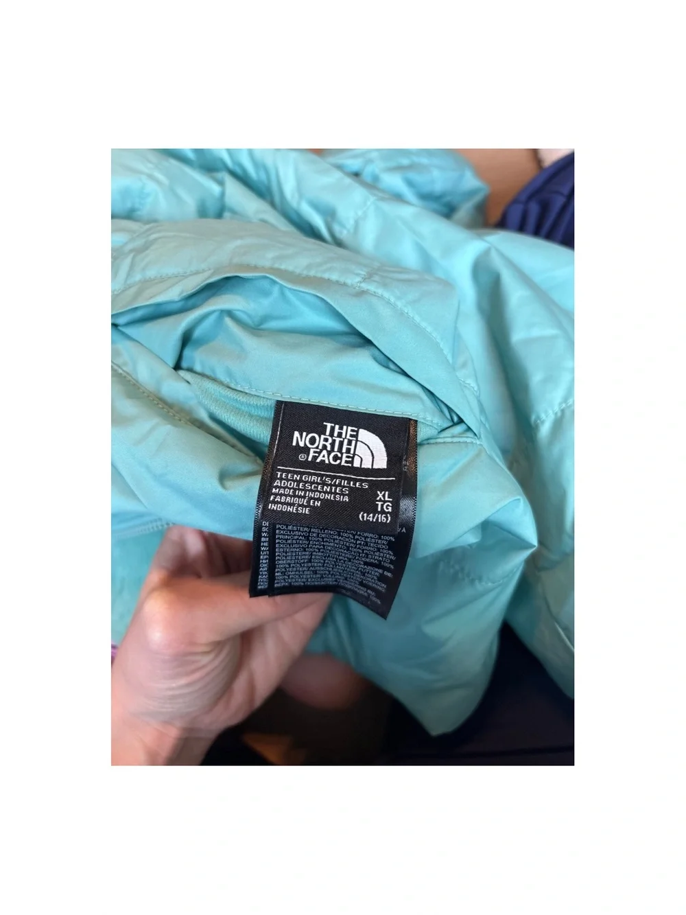 The North Face Turquoise Plush Hooded Fleece Jacket